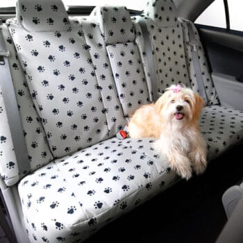 Custom Pet Seat Covers | Heavy-Duty 500D Polyester Water-Resistant Paw Print Design | Made in USA | CalTrend Dog Protection Car Truck SUV