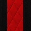 Black w/ Red