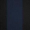 Black w/ Blue