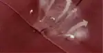 10-40-TJ19702-32_1