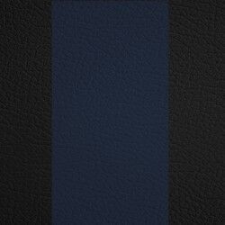 Black w/ Blue