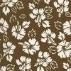 Hawaii Beige