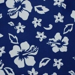 Hawaii Blue