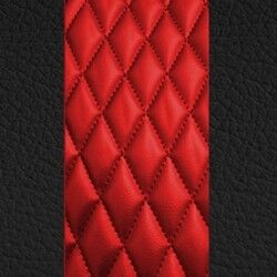 Black w/ Red