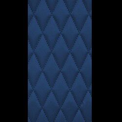 Black w/ Blue